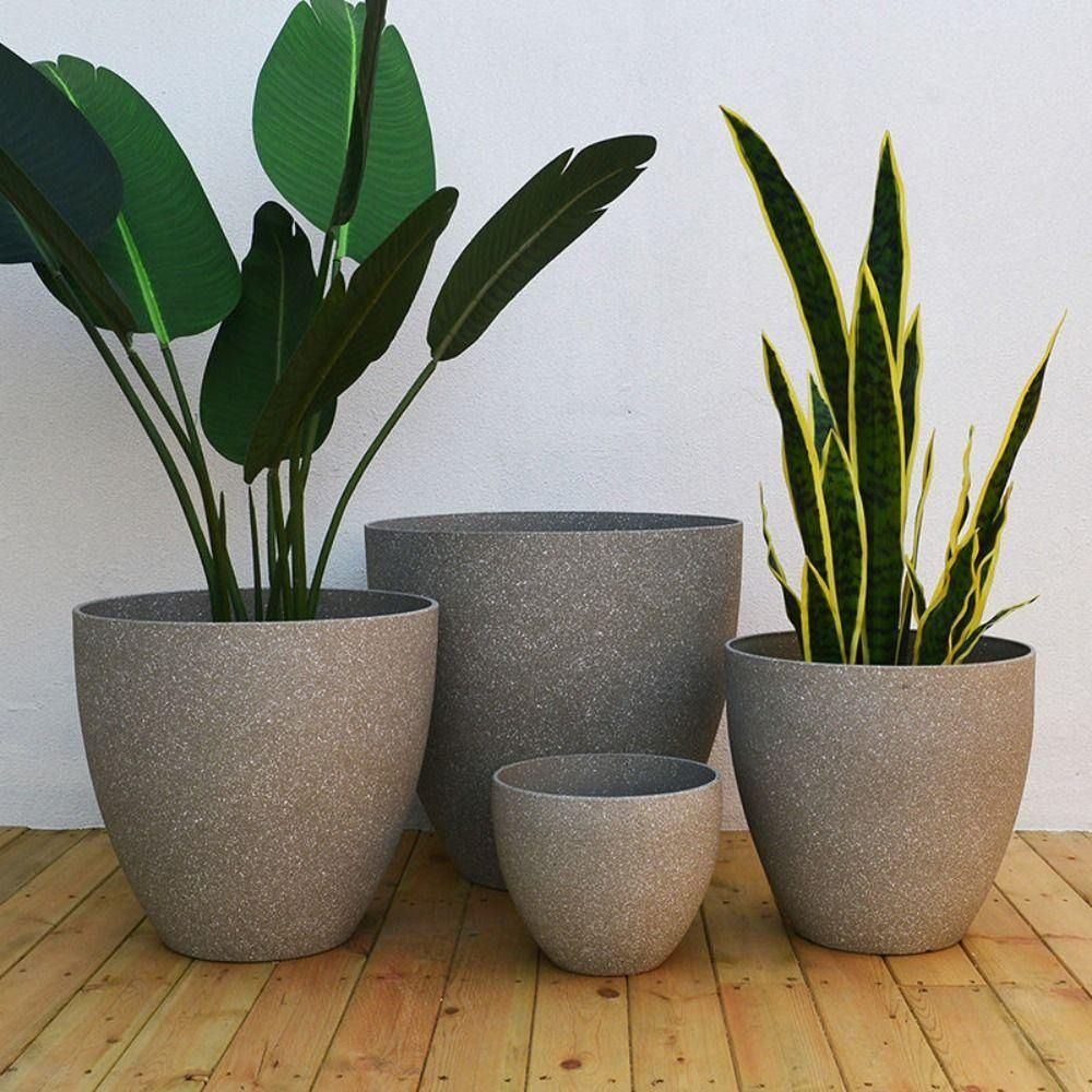 Pilea Peperomioides - Frosted Imitation Stone Bonsai Flowerpot Balcony