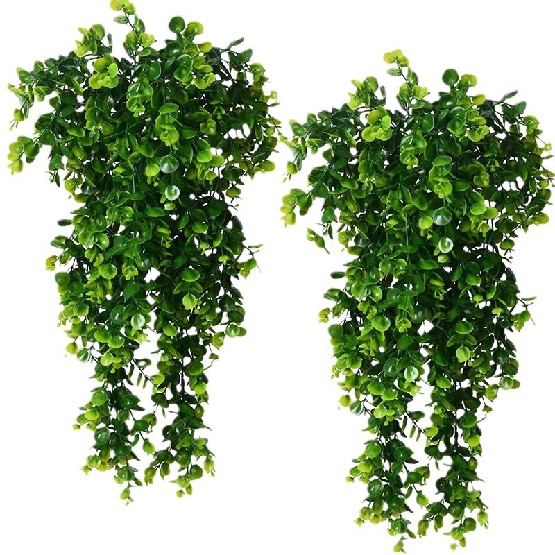 Pilea Peperomioides - 1Pcs Artificial 5Forks Rattan Eucalyptus Wall