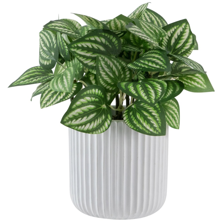 Peperomia Watermelon - Artificial Watermelon Peperomia Plant in Pot