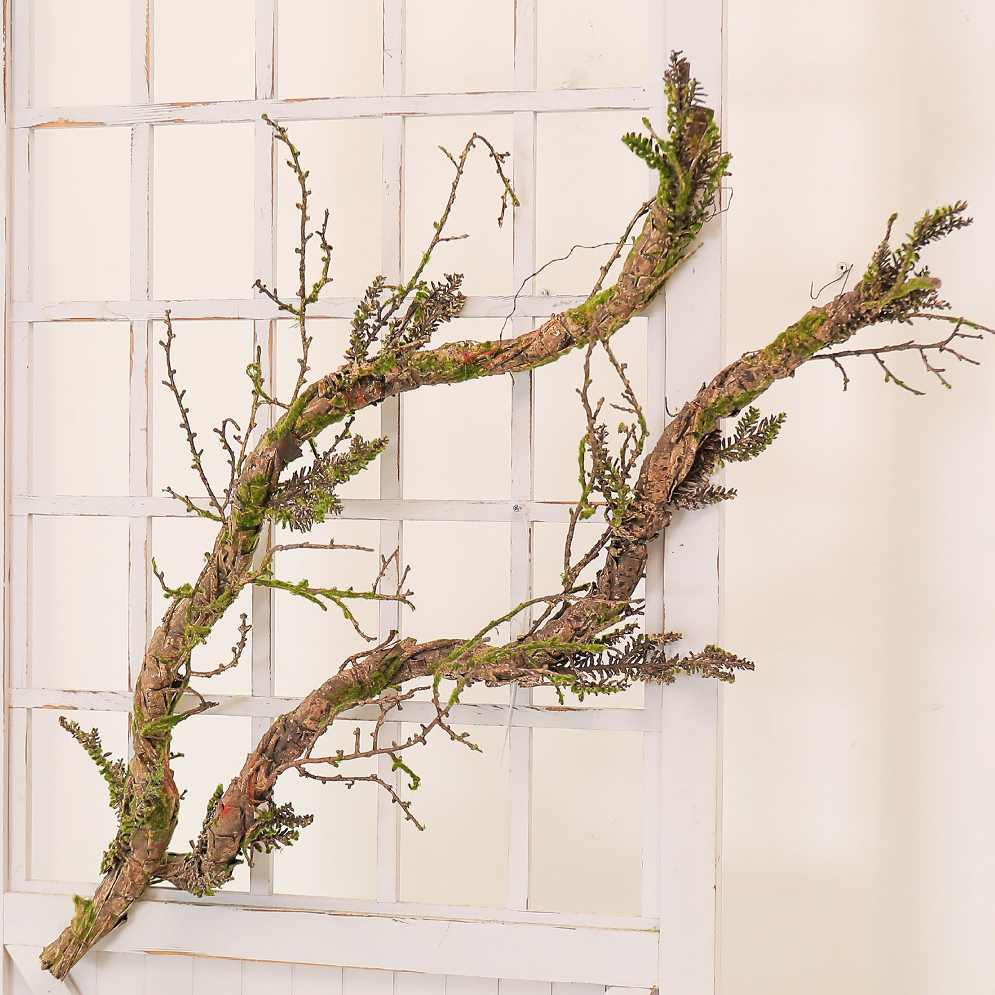 Pilea Peperomioides - New Withered Vines Artificial Foam Dried
