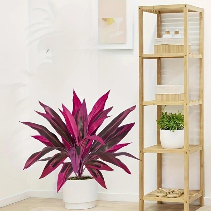 60cm Tall Artificial Dracaena  - Dracaena Marginata avis et prix