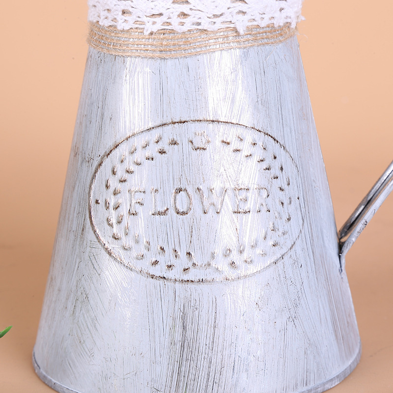 Vintage Tin Bucket Fashionable - Pilea Peperomioides avis et prix