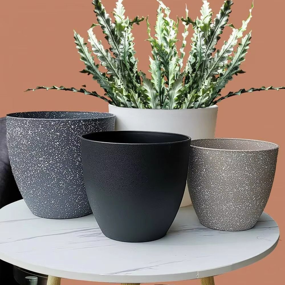 Frosted Imitation Stone Bonsai - Pilea Peperomioides avis et prix