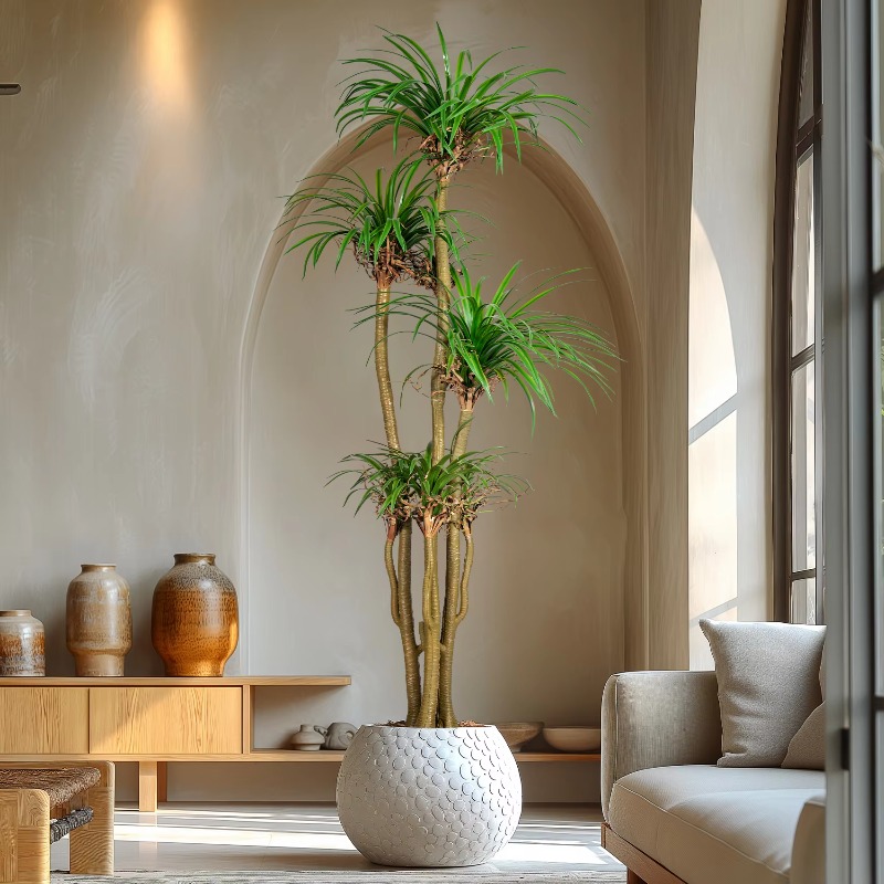 Indoor/Outdoor Home Tree Simul - Dracaena Marginata avis et prix