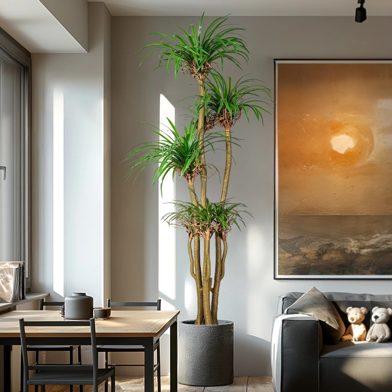Indoor/Outdoor Home Tree Simul - Dracaena Marginata avis et prix