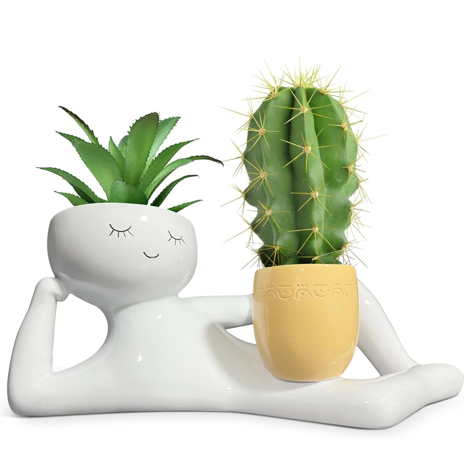 Lazy Little Guy Planter Unique - Echeveria Succulent avis et prix