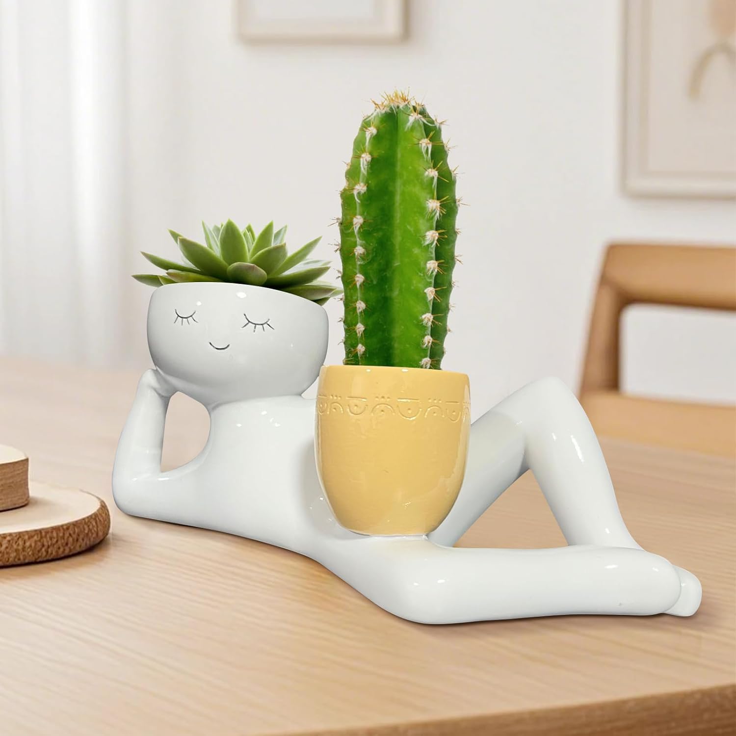 Lazy Little Guy Planter Unique - Echeveria Succulent avis et prix