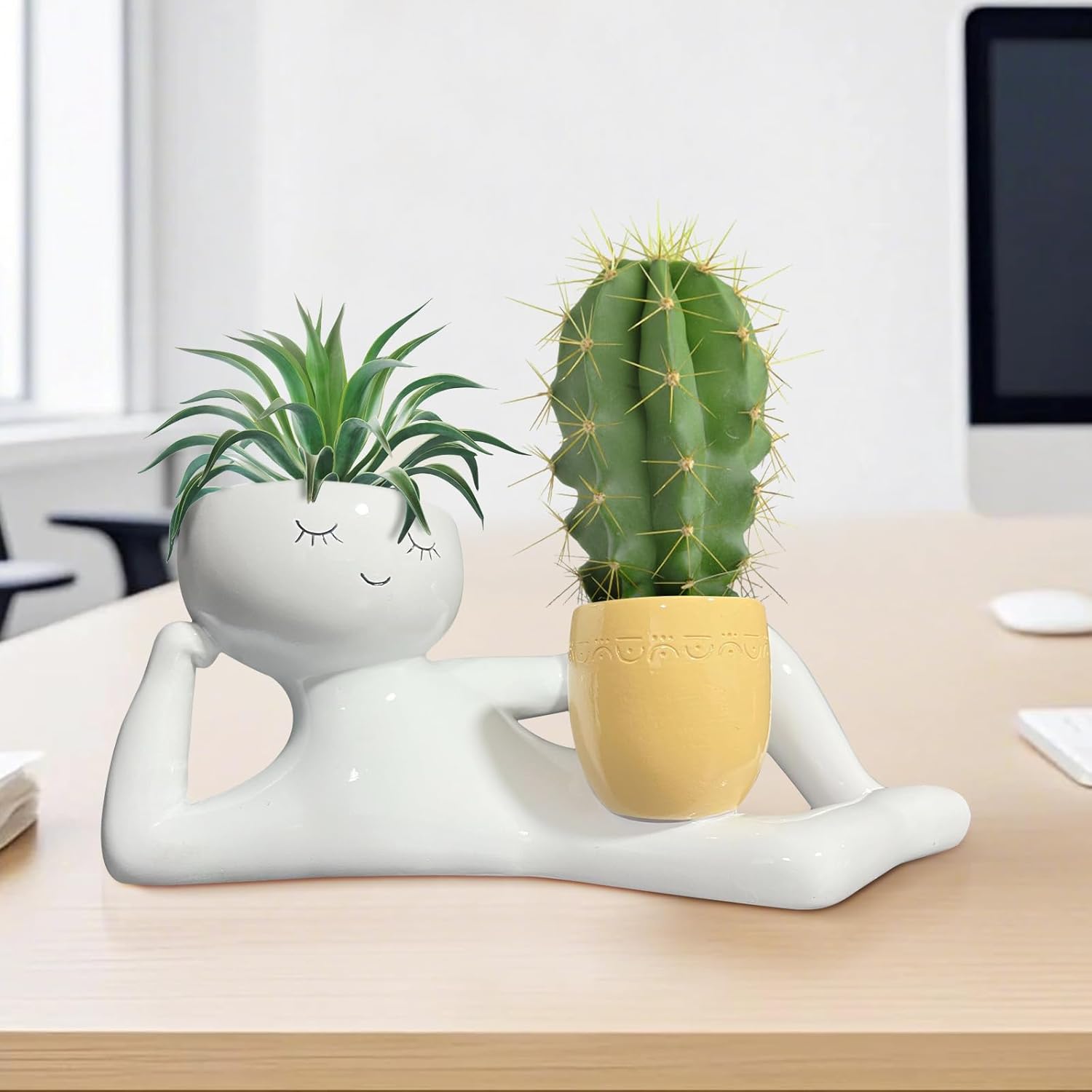 Lazy Little Guy Planter Unique - Echeveria Succulent avis et prix