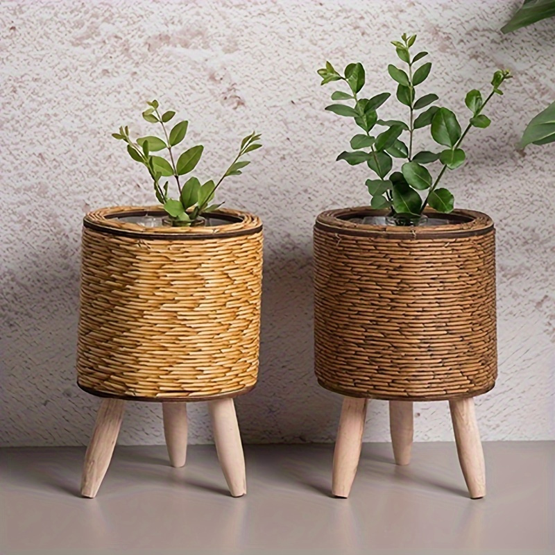 Charming Rustic Rattan Planter - Pilea Peperomioides avis et prix