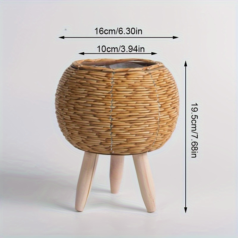 Charming Rustic Rattan Planter - Pilea Peperomioides avis et prix