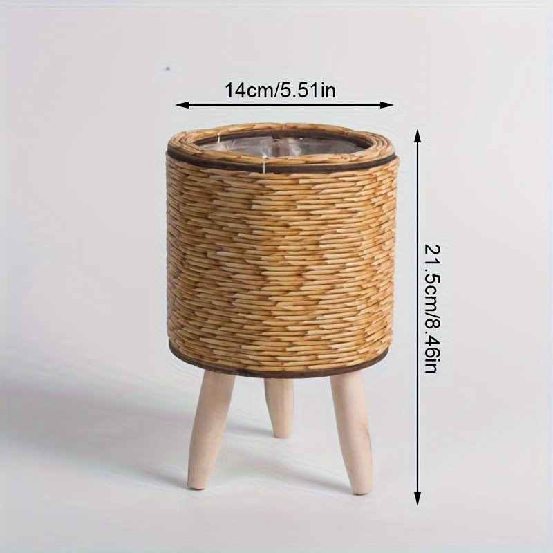 Charming Rustic Rattan Planter - Pilea Peperomioides avis et prix