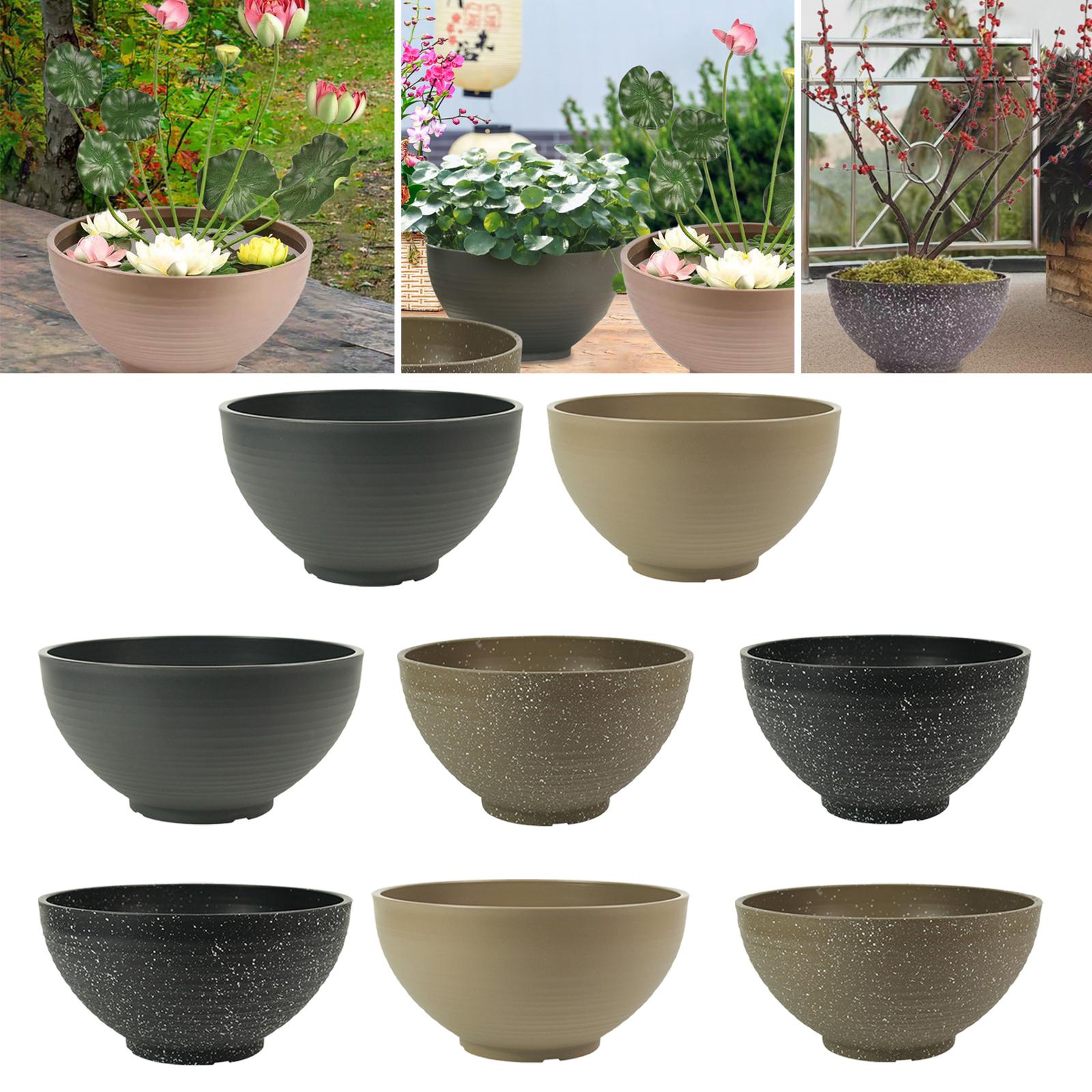 Garden Large-capacity Bowl Pla - Aloe Vera Pot avis et prix