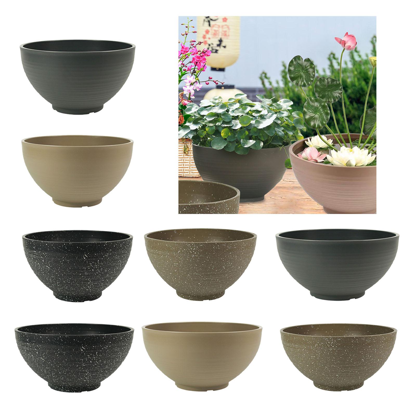 Garden Large-capacity Bowl Pla - Aloe Vera Pot avis et prix