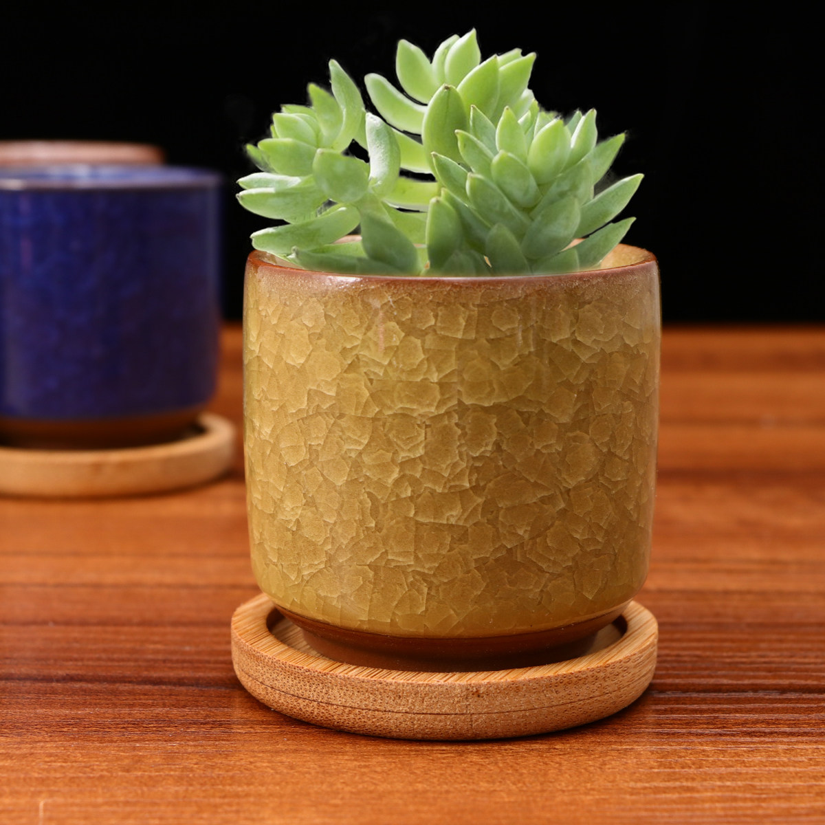 Mini Cracked Glaze Ceramic Pot - Aloe Vera Pot avis et prix