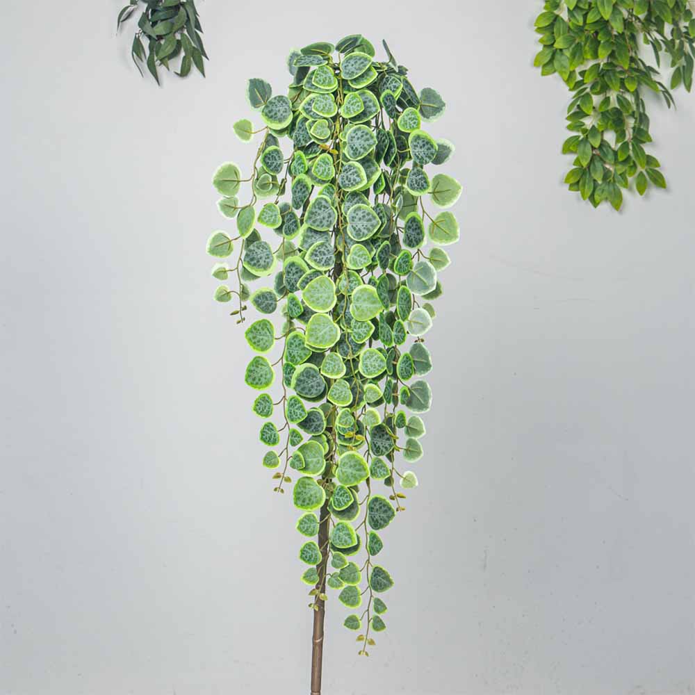 60-80cm Artificial Hanging Vin - Pilea Peperomioides avis et prix