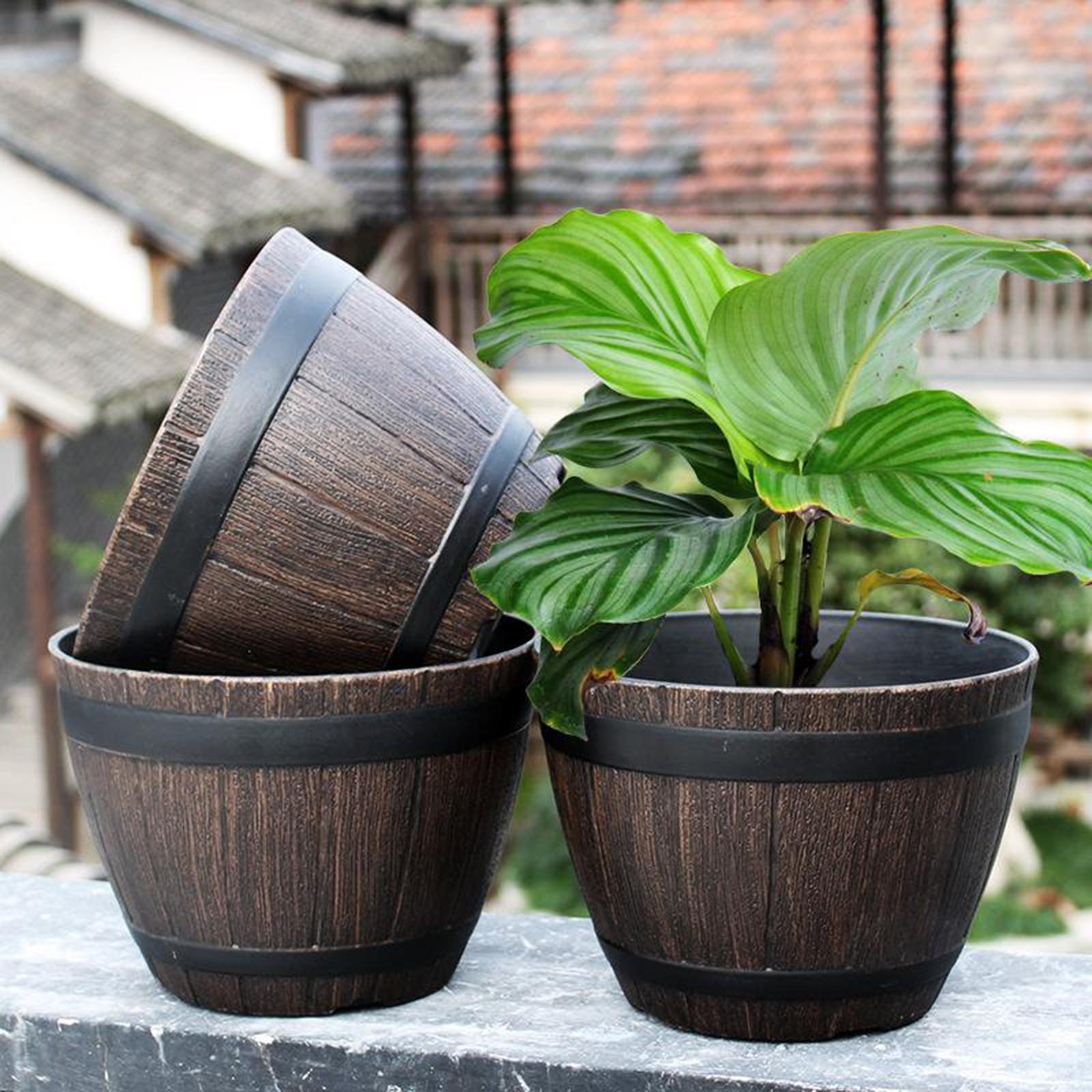 Barrel Planter Pot Large - Res - Aloe Vera Pot avis et prix