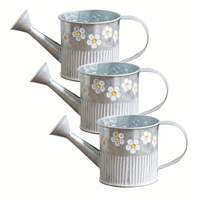 Vintage Farmhouse Galvanized W - Pilea Peperomioides avis et prix