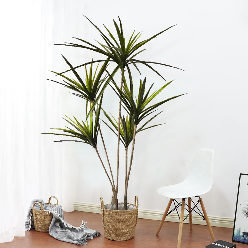 New 90-120cm Artificial Dracae - Dracaena Marginata avis et prix