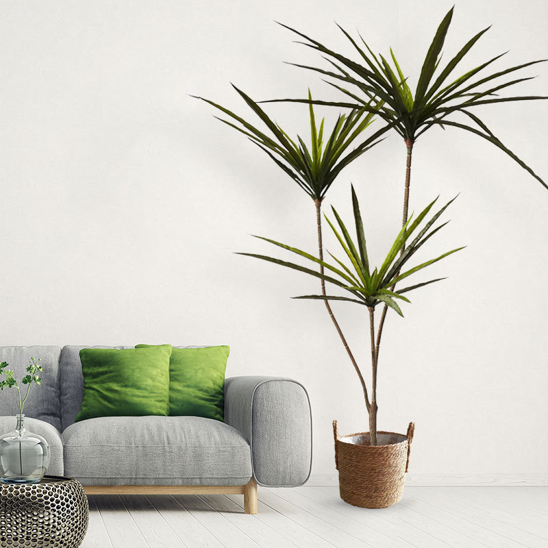 New 90-120cm Artificial Dracae - Dracaena Marginata avis et prix