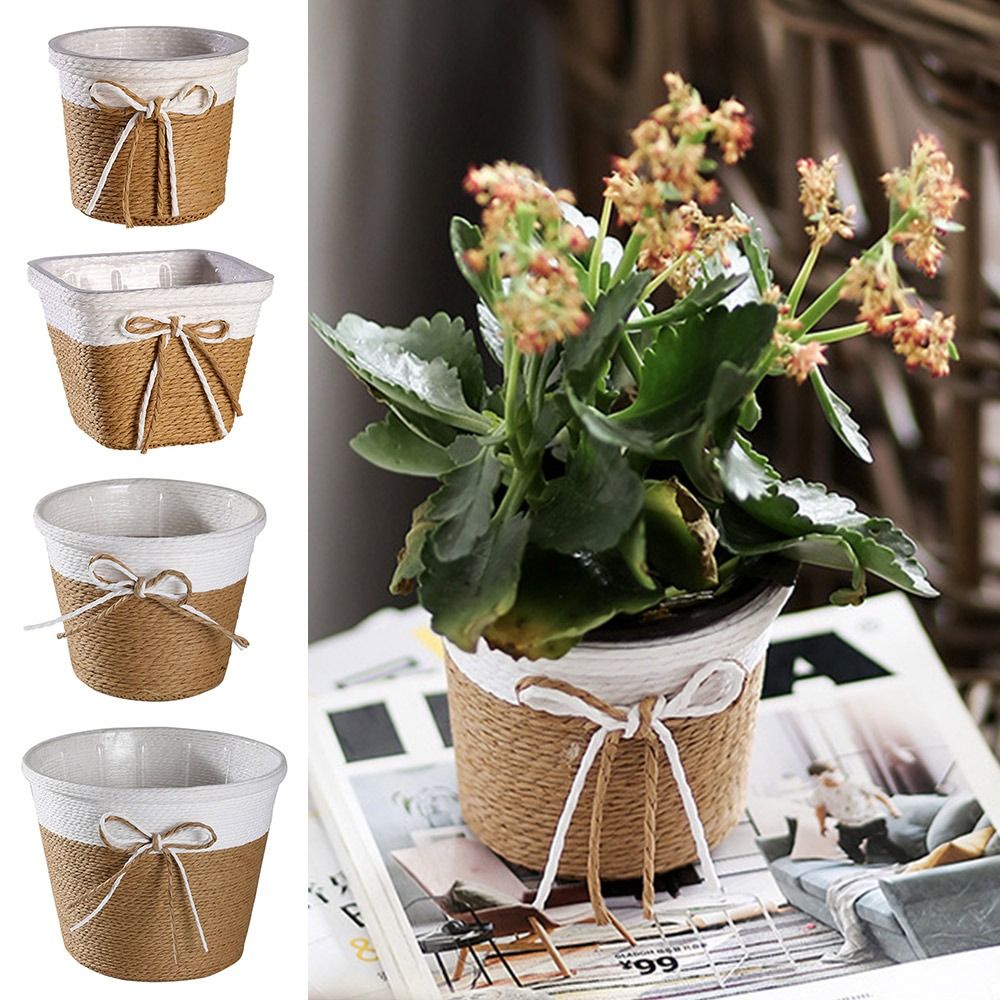 Paper Rope Braided Braided Flo - Pilea Peperomioides avis et prix