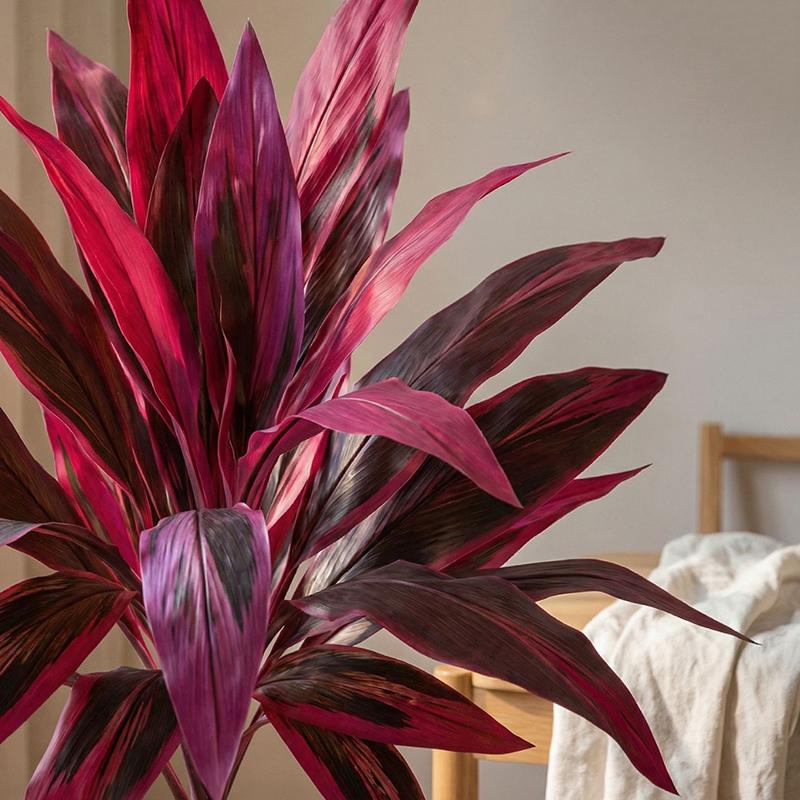 Large Artificial Dracaena Marg - Dracaena Marginata avis et prix
