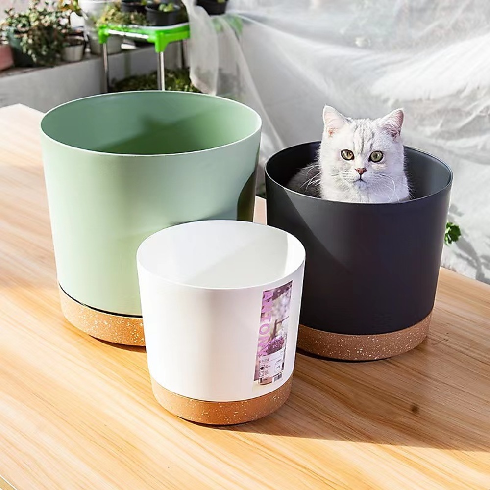 Plant POTS, lightweight large  - Aloe Vera Pot avis et prix