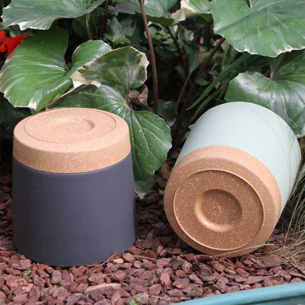 Plant POTS, lightweight large  - Aloe Vera Pot avis et prix