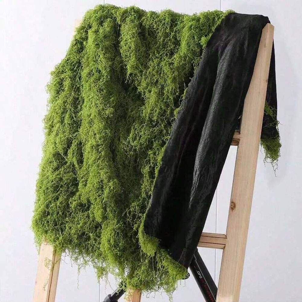 1*1m Fake Moss DIY Crafts Gras - Pilea Peperomioides avis et prix