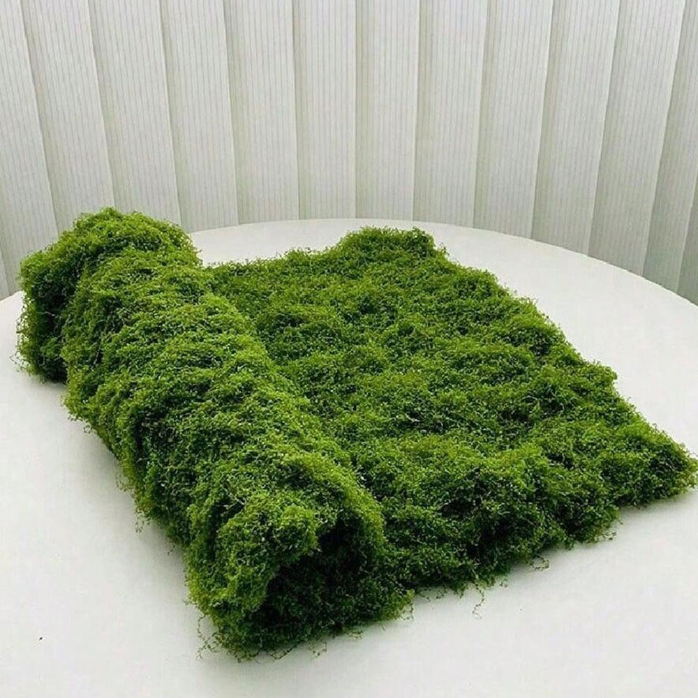 1*1m Fake Moss DIY Crafts Gras - Pilea Peperomioides avis et prix