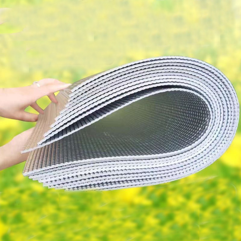 15PCS Beehive Nest Bee Reflect - Begonia Rex avis et prix