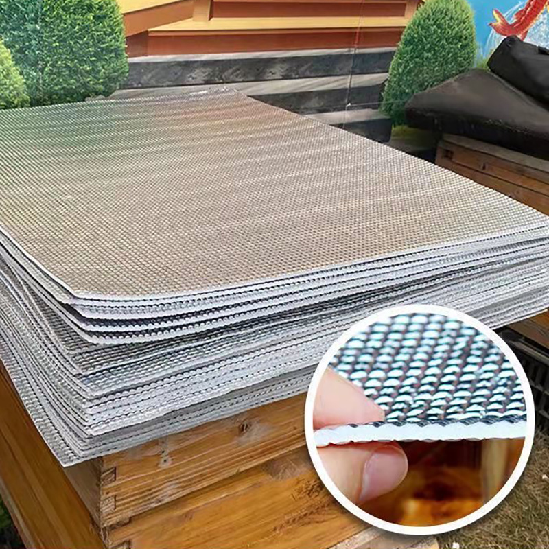 15PCS Beehive Nest Bee Reflect - Begonia Rex avis et prix