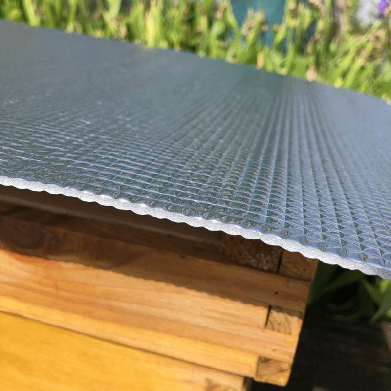 15PCS Beehive Nest Bee Reflect - Begonia Rex avis et prix