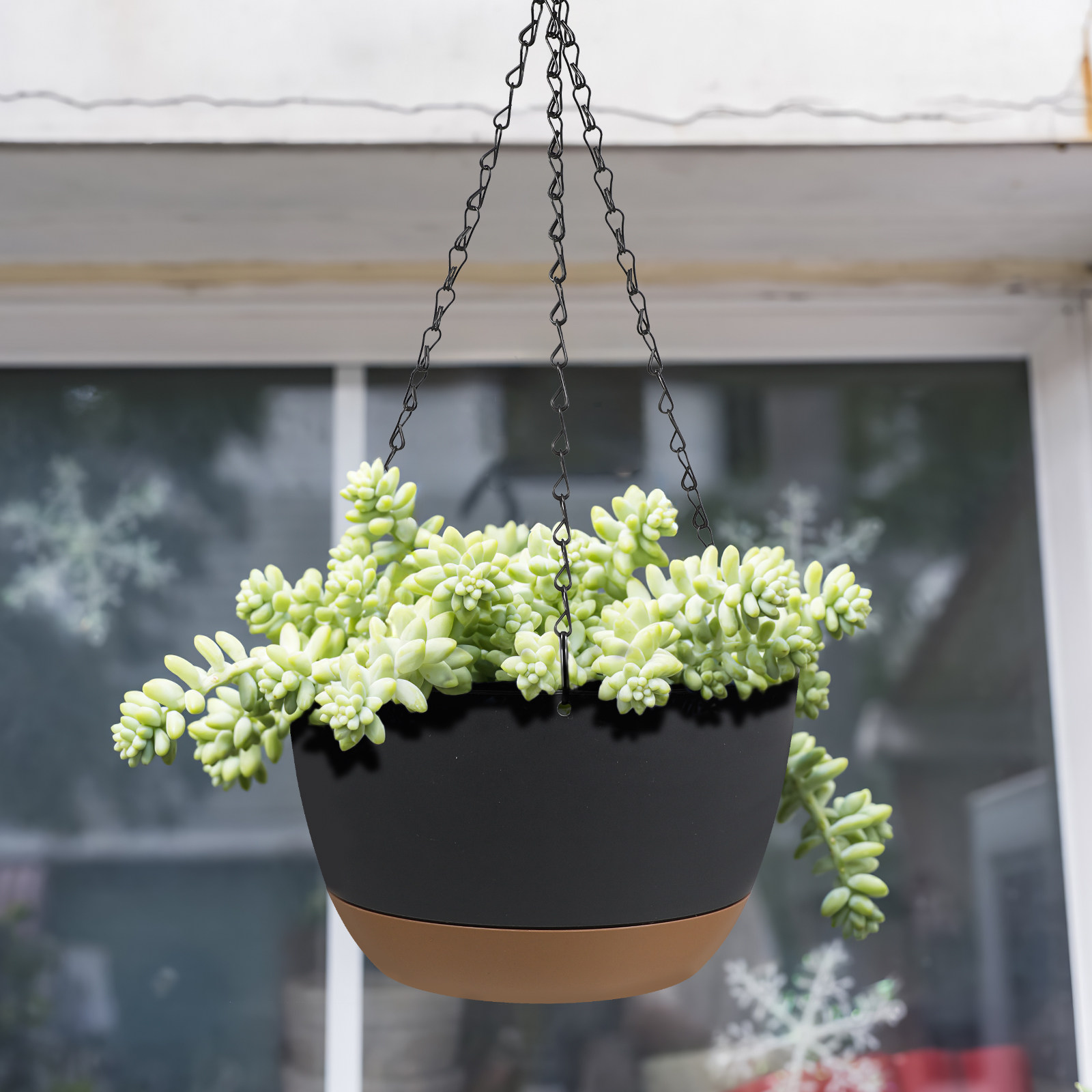 2Set Hanging Planters Heavy Du - Spider Plant Hanging avis et prix