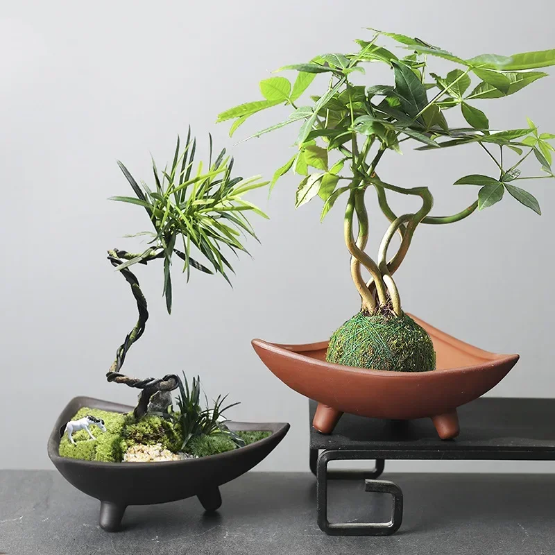 Personalized Ceramic Flower Po - Pilea Peperomioides avis et prix
