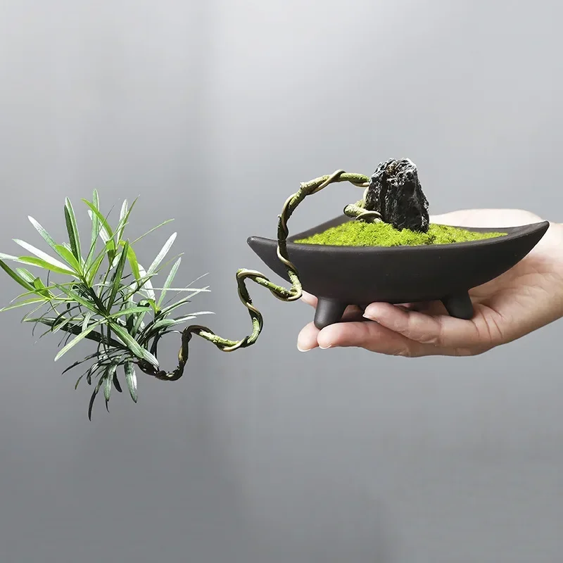 Personalized Ceramic Flower Po - Pilea Peperomioides avis et prix