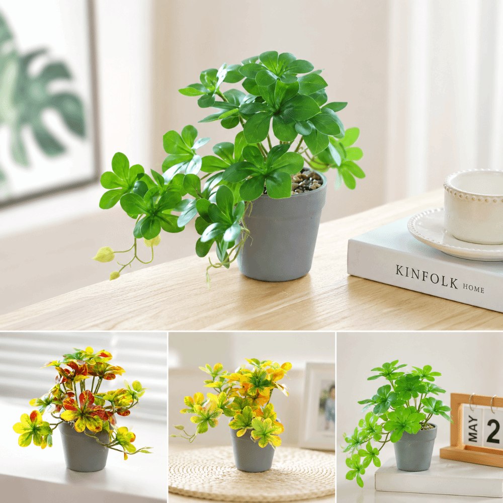 Bonsai Artificial Bonsai Plant - Spider Plant Hanging avis et prix