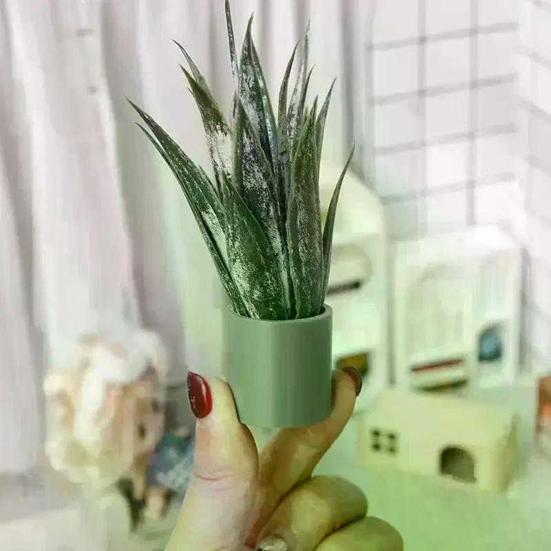 Dollhouse Decor Mini Aloe Vera - Aloe Vera Pot avis et prix