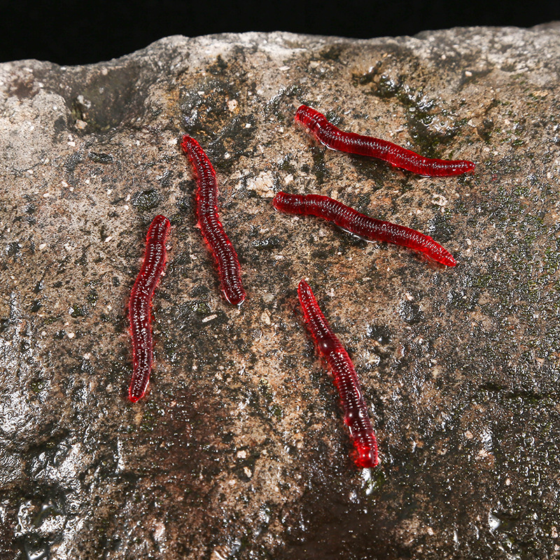 CIBO 50pcs-Artificial Red Worm - Aglaonema Red avis et prix