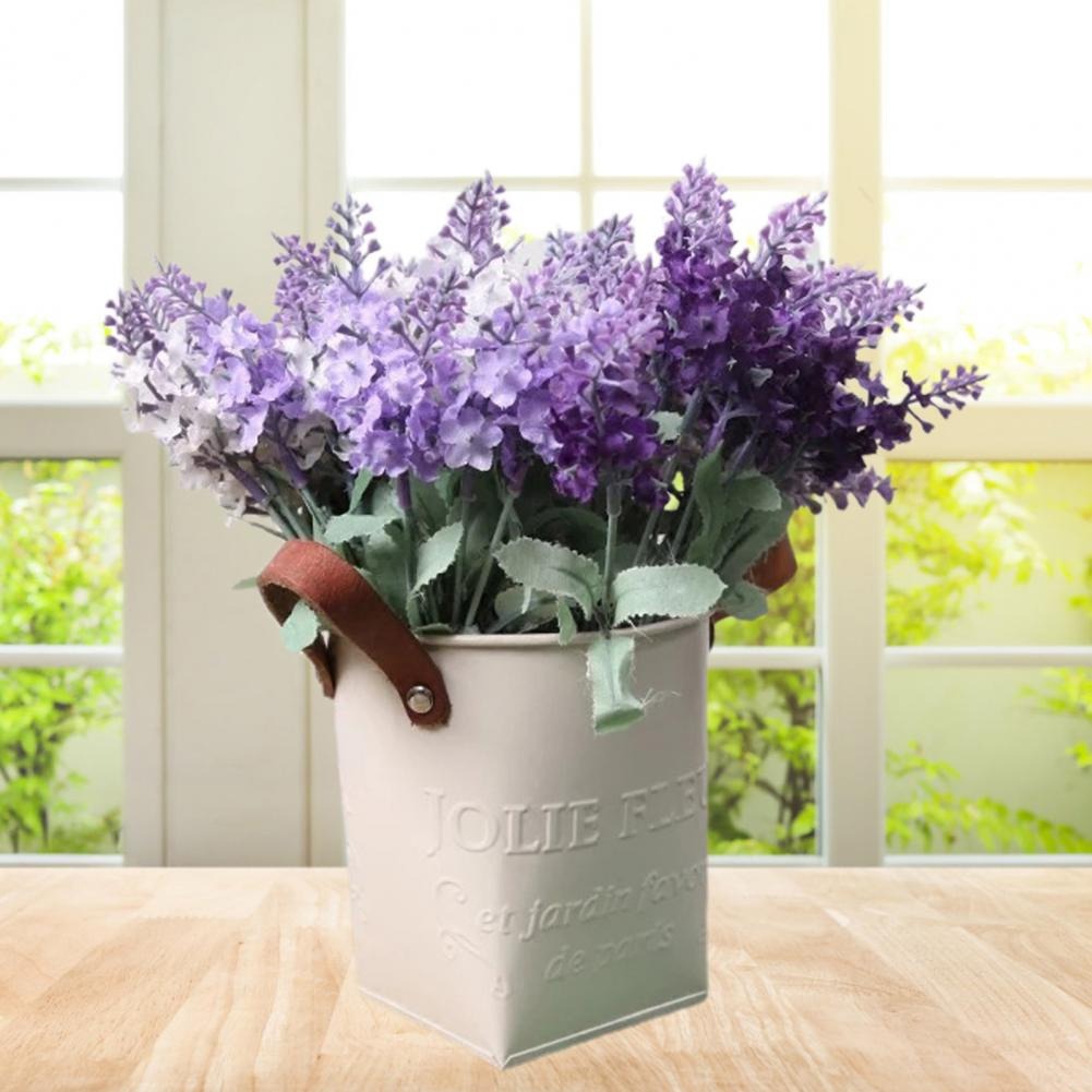 Barrels Garden Decoration Tin  - Pilea Peperomioides avis et prix