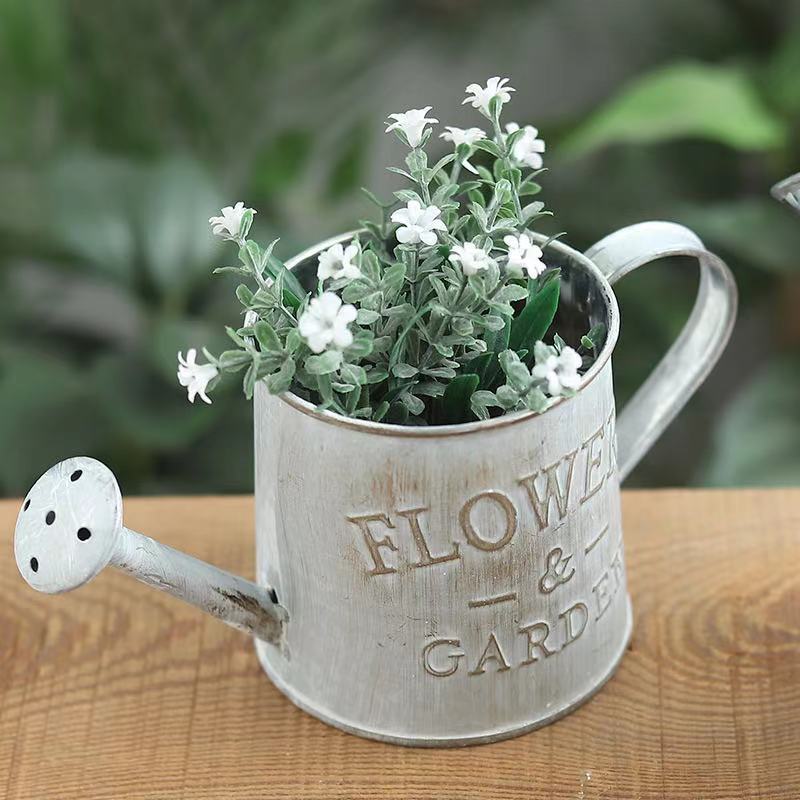 Barrels Garden Decoration Tin  - Pilea Peperomioides avis et prix