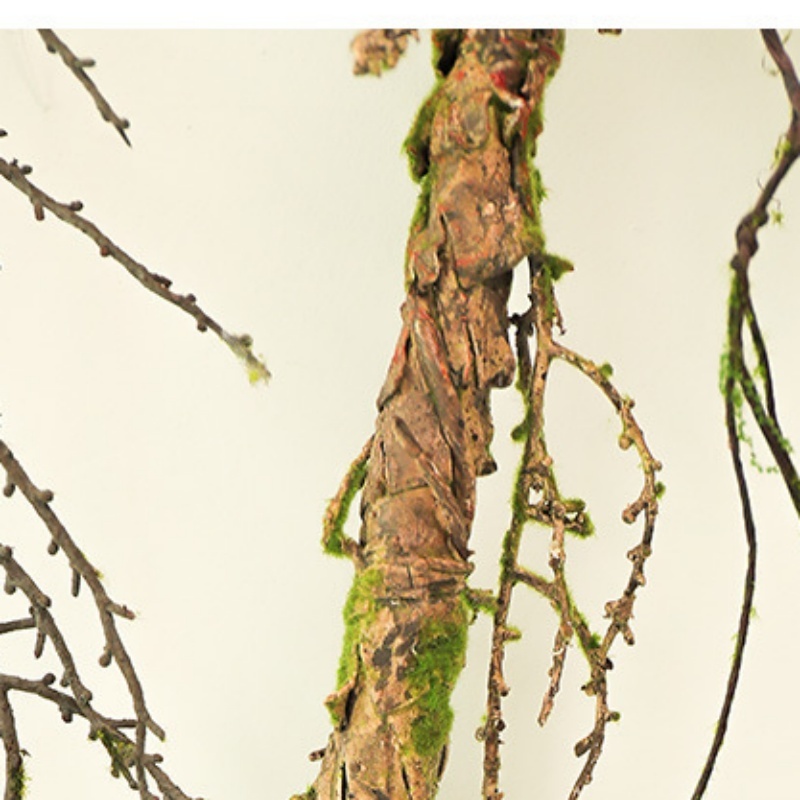 New Withered Vines Artificial  - Pilea Peperomioides avis et prix