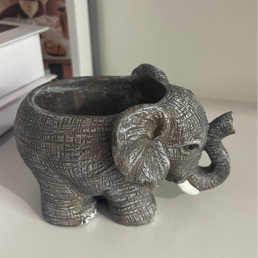 Cute Elephant Resin Succulent  - Echeveria Succulent avis et prix