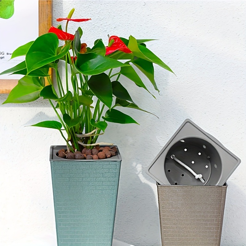 Plastic Brick Pattern Flowerpo - Pilea Peperomioides avis et prix