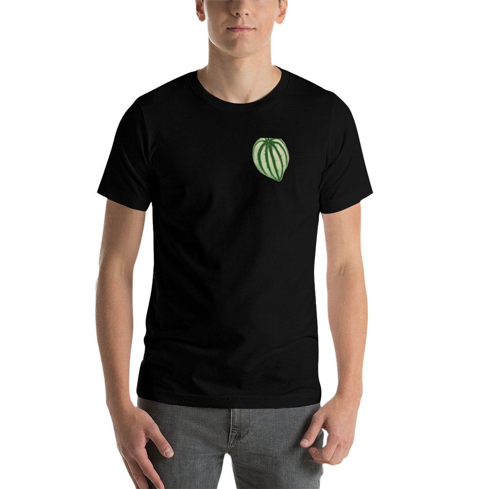 Watermelon Peperomia T-Shirt C - Peperomia Watermelon avis et prix